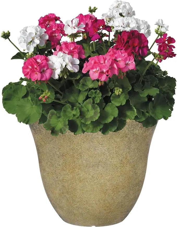 Classic Home and Garden Honeysuckle Resin Flower Pot Planter, Fossil Stone, 15" by GreenHaven Gardens