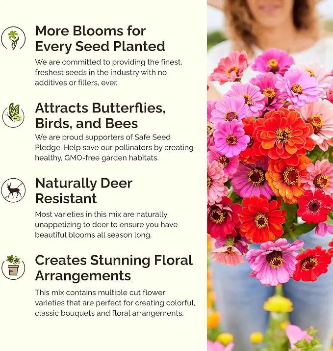 Eden Brothers Field Day Flower Mixed Seeds for Planting, 1 lb, 480,000+ Seeds with Zinnia Lilliput, Calendula Mix | Attracts Pollinators, Plant in Spring or Fall, Zones 3, 4, 5, 6, 7, 8, 9, 10 by GreenHaven Gardens