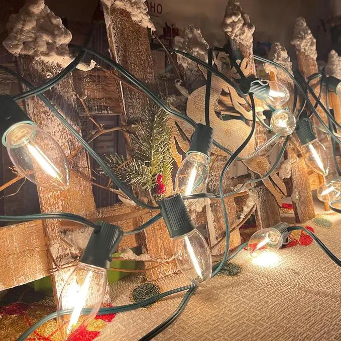 C9 LED Christmas Lights Outdoor, 25 Feet C9 Warm White String Lights Outdoor with 26 LED Clear Bulbs for Indoor Christmas Tree Roofline Holiday Party Garden Patio Backyard Cafe Decoration by GreenHaven Gardens