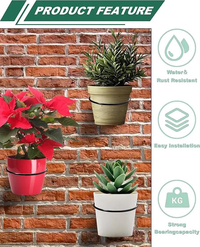 vensovo 6 Inch Metal Wall Mounted Plant Holder - 6 Pack Flower Pot Hanger Rings, Wall Planter Ring Holders Bracket Hooks Heavy Duty for Indoor and Outdoor Decor by GreenHaven Gardens