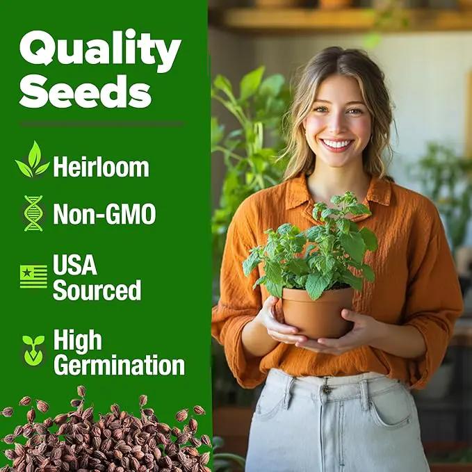 HOME GROWN 𝗨𝗦𝗔 𝗣𝗥𝗘𝗠𝗜𝗨𝗠 Catnip Seeds (Bulk Pack) 𝗡𝗢𝗡-𝗚𝗠𝗢 Heirloom Herb 2,116 Seeds - Indoor or Outdoor Seed - High-Germination Cat Nip - Cat Safe Plants (Nepeta cataria) by GreenHaven Gardens