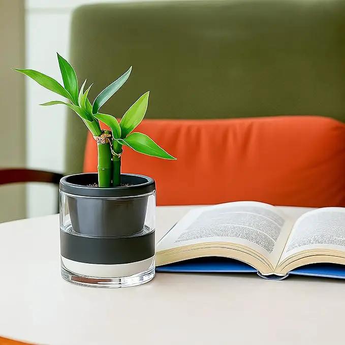 D'vine Dev 4 Inch Design Self Watering Planter for Indoor Plants, Black Terracotta Pot with Cylinder Glass Cup, 37-X-A-3 by GreenHaven Gardens