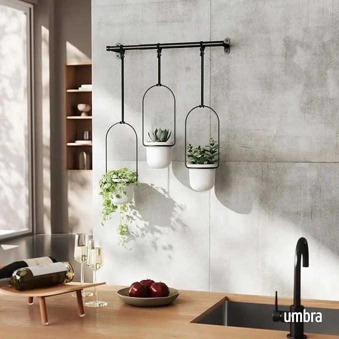 Umbra Triflora Hanging Planter for Window, Indoor Herb Garden, Set of 3, White/Black by GreenHaven Gardens