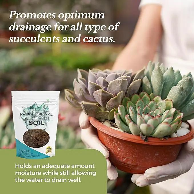 Extra Large 8.2 QT Bag Succulent Soil Premium All Purpose Blend | Pre-Mixed Ready to Use for Cactus and Succulents | Canadian Peat, Course Sand, Pinebark | Made in USA by GreenHaven Gardens