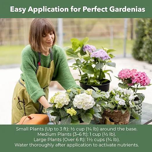 Slow Release Hydrangea Fertilizer with Iron & Sulfur – Indoor & Outdoor Soil Acidifier for Miracle Growth (3 qt) by GreenHaven Gardens