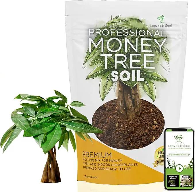 Professional Money Tree Soil | Large 2.2 Quarts Ready to Use for Money Tree Plants | Peat Moss, Coco Coir, Perlite, Dolomite | Made in USA by GreenHaven Gardens