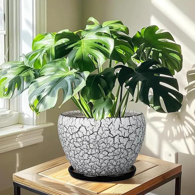 Ceramic Planters for Indoor Plants - 10 Inch Plant Pot with Drainage Hole and Saucer, Large Flower Pot for Home Decor, White/Black by GreenHaven Gardens