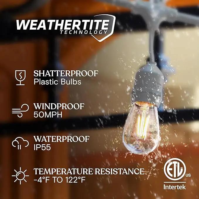 Brightech Ambience Pro Waterproof LED Outdoor String Lights, 48 Ft, Hanging, Dimmable Vintage Edison Bulbs, 15 Bulbs, 2W by GreenHaven Gardens
