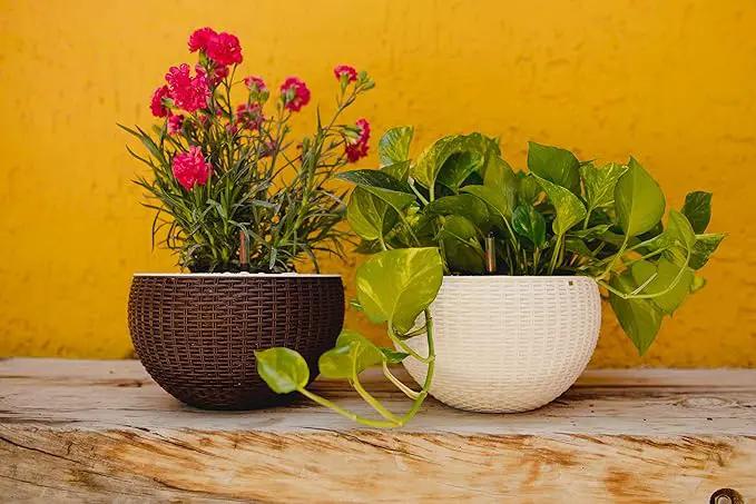 GARDENIX DECOR Self Watering Hanging Planter, 11'' Indoor, Brown, Coco Coir, with Water Level Indicator, Round, 1 Pack by GreenHaven Gardens