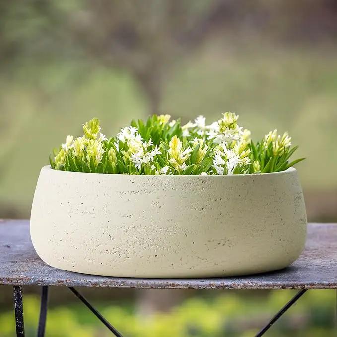 Olly & Rose Large Ceramic Planter Bowl Shallow Plant Pot - Off White Cream Ivory Flower Pot Indoor and Outdoor Decorative Bowl Garden and Home Décor by GreenHaven Gardens