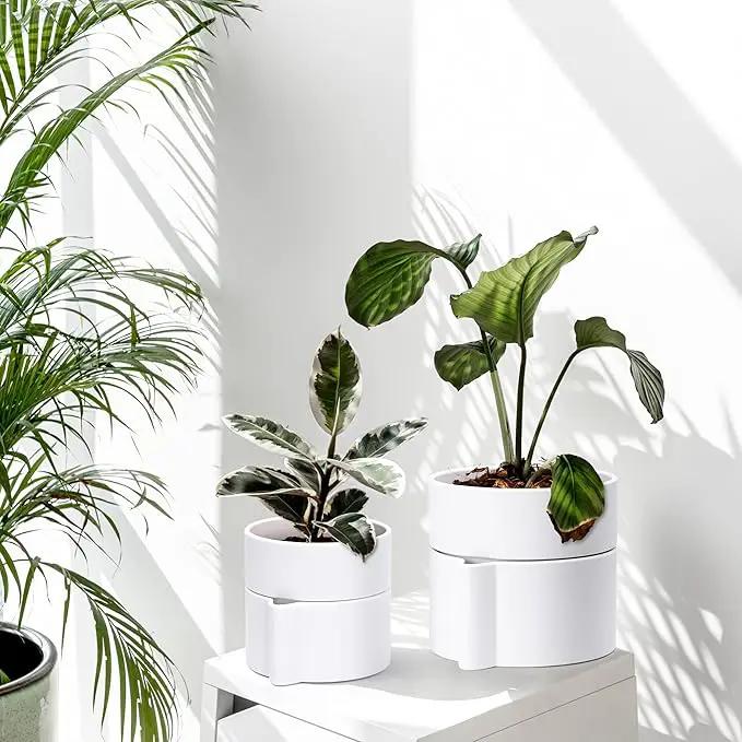 Phoenix Vine 8 Inch Self-Watering Planter Pot with Terracotta Insert, Deep Water Reservoir, and Ceramic-Alike BPA-Free Plastic Planter Pot for Plant, Modern Planter for Houseplants, White, 53-A-T-1 by GreenHaven Gardens