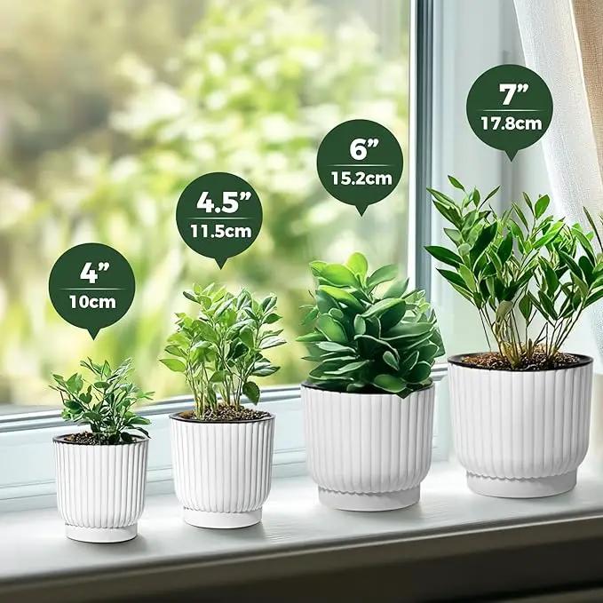 T4U 4 Inch Self Watering Pots for Indoor Plants, 6 Pack White Plastic Flower Pots for All House Plants, Flowers, African Violets by GreenHaven Gardens