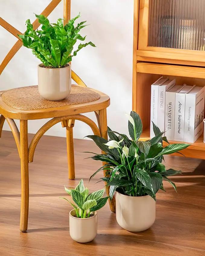 vancasso Ceramic Plant Pots, 4+5+6 inches, Set of 3, Planters with Drainage Hole, Flower Pots Planters Pots for Indoor Plants, Modern Indoor Decorative Garden Pot, Home Decor, Brown by GreenHaven Gardens