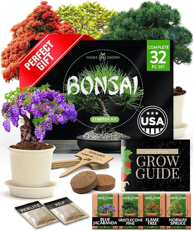 Bonsai Tree Kit - Gifts for Men & Women - Grow 4 Bonsai Trees - Unique Gardening Crafts for Adults, DIY Hobbies for Plant Lovers & Gardeners - Unusual Christmas Gift Ideas for Mom & Dad by GreenHaven Gardens