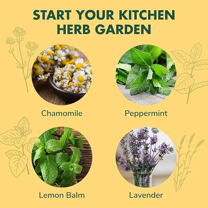 Indoor Herb Garden Seed Starter Kit - Herbal Tea Growing Kits, Grow Medicinal Herbs Indoors, Seeds for Planting, Soil, Plant Markers, Pots, Infuser, Planter Box, Gardening Gifts for Women by GreenHaven Gardens