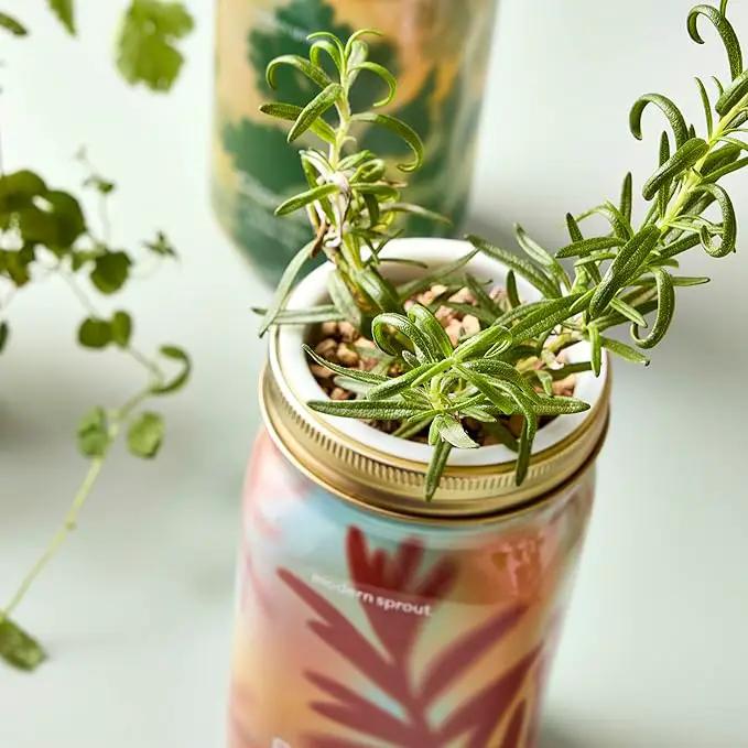 Modern Sprout Mason Garden Jar - Self-Watering Hydroponics Growing System Kit with Organic Herb Seeds - Jar Planter for Indoor Herb Garden - Seed Starter Kit - Home Decor & Gifting - Rosemary by GreenHaven Gardens