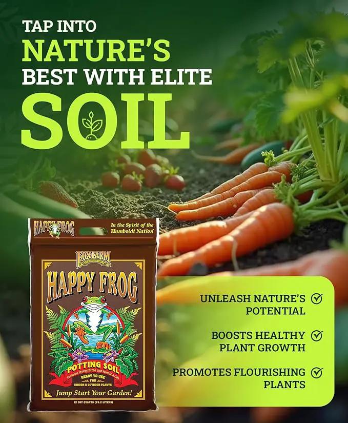 FoxFarm Happy Frog Potting Soil, 12qt – for Indoor/Outdoor Container Plants, Improves Root Efficiency, pH Adjusted for Optimal Nutrient Uptake – Contains Microbes and Humic Acids (Pack of 2) by GreenHaven Gardens