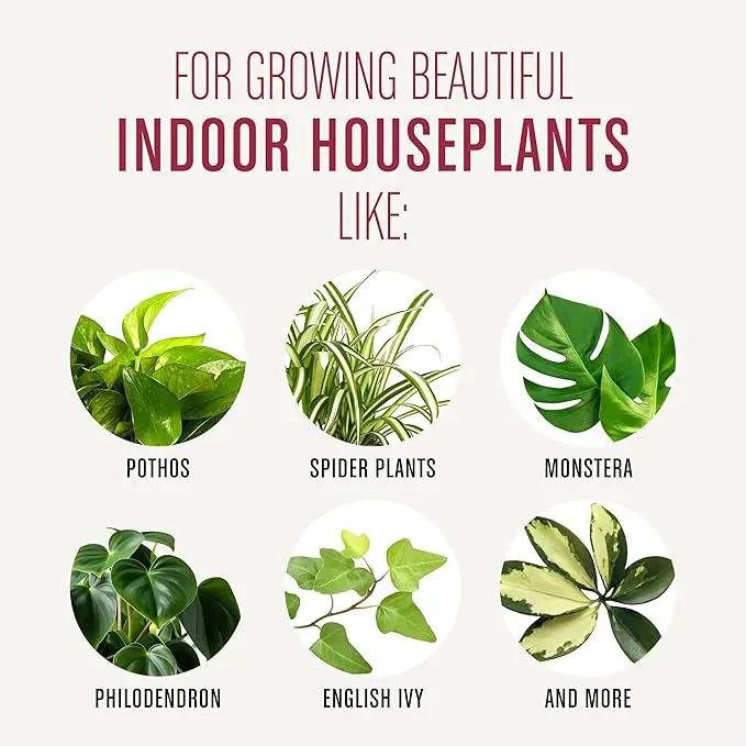 Miracle-Gro Houseplant Potting Mix: Fertilized, Perlite Soil for Indoor Gardening, Designed to Be Less Prone to Gnats, 4 qt. by GreenHaven Gardens