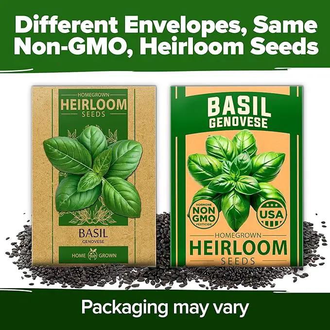 HOME GROWN Genovese Basil Seeds 2 Pack - 3500 𝗡𝗢𝗡-𝗚𝗠𝗢 𝗨𝗦𝗔 Heirloom Basil Seeds for Planting (Ocimum basilicum) - Herb Seeds for Indoor & Outdoor Gardening - Grow for Culinary Use by GreenHaven Gardens