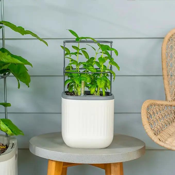 Vego garden Mini Planter Indoor Pots with Trellis Self-Watering Herb Countertop Planter for Climbing Vegetables Flowers Mint Plants Cage- Cream White by GreenHaven Gardens