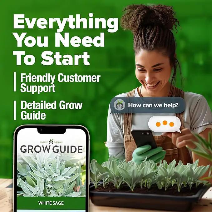 HOME GROWN 𝗨𝗦𝗔 𝗣𝗥𝗘𝗠𝗜𝗨𝗠 White Sage Seeds 323 Pack 𝗡𝗢𝗡-𝗚𝗠𝗢 Heirloom Seeds - Grow Aromatic Sage Plants for Your Herb Seeds Garden with Sage for Planting Outdoor or Indoor (Salvia apiana) by GreenHaven Gardens