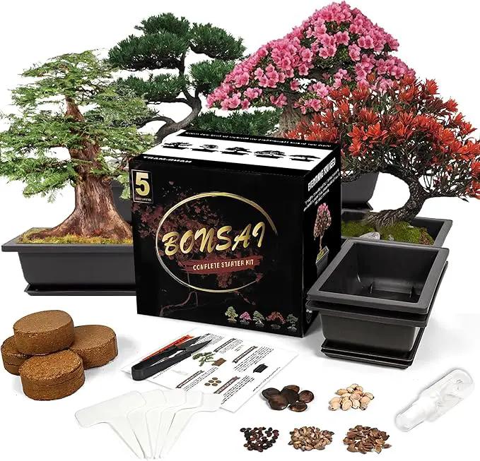 Bonsai Starter Kit, 5 Seeds Growing into Blue Spruce, Chinese Boxwood, Dawn Redwood, Flame Tree and Judas Tree, Including Complete Gardening Tools with A Gift Box, Christmas Gifts for Women by GreenHaven Gardens