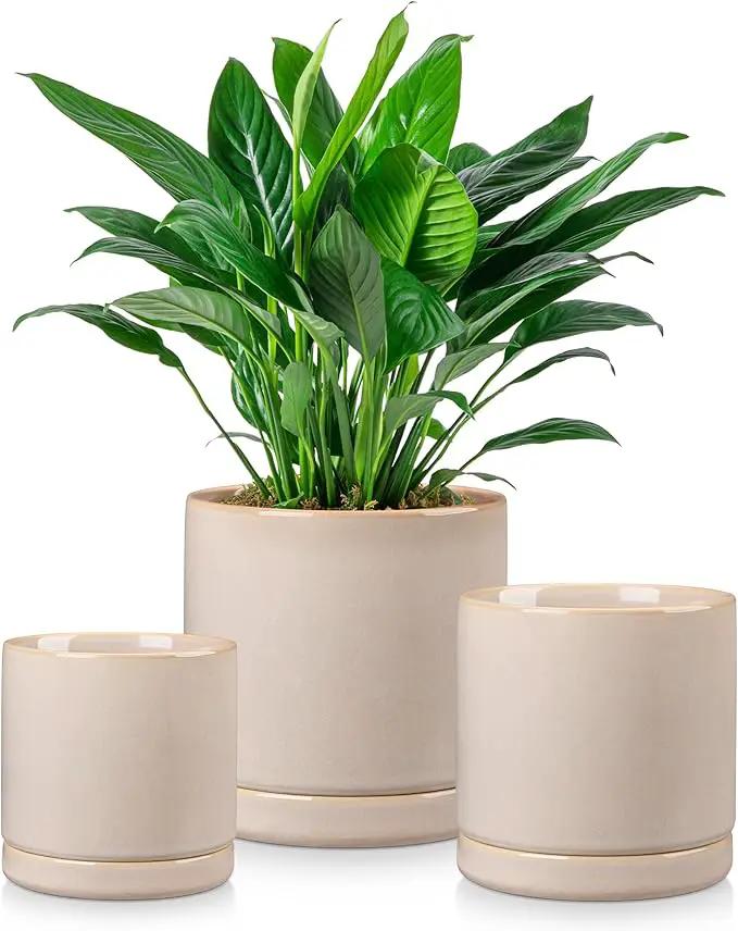 vancasso Ceramic Plant Pots, 3 Piece Planters for Indoor Plants, 4.25+5.25+6.25 Inch Flower Pots with Drainage, Plant Pots Indoor for Succulent, Pothos, Snake Plant and Money Tree, Etc (Gray) by GreenHaven Gardens