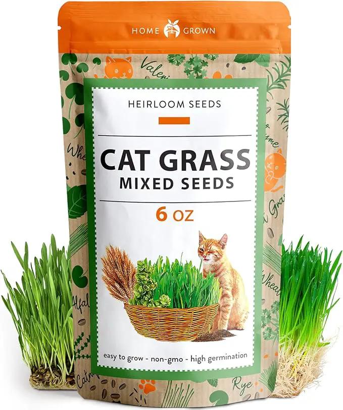 HOME GROWN 30,000+Cat Grass Seeds (6oz) 𝗡𝗢𝗡-𝗚𝗠𝗢 𝗨𝗦𝗔 Heirloom Barley & Oat Mix – Refill for Indoor Cat Grass Growing Kit – Safe Healthy Green Grass for Cats – Pet Grass for Eating & Digestion by GreenHaven Gardens