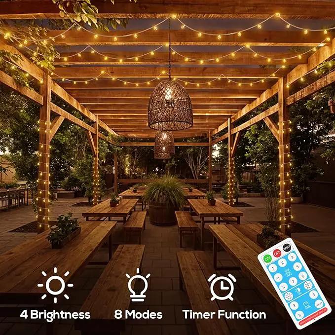 Solar String Lights Outdoor, 56FT 100LED Solar Lights with Remote, IP65 Waterproof, Solar Crystal Globe Patio Lights, 8 Light Modes, Timing, Christmas Decorations for Garden Yard by GreenHaven Gardens