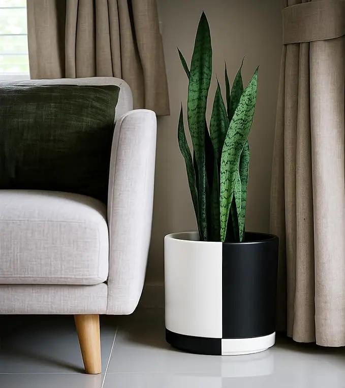 D'vine Dev 12 Inch Ceramic Planter Pot with Drainage Hole and Saucer, Indoor Cylinder Round Planter Pot, Split Monochrome Black & White, 94-O-F-0 by GreenHaven Gardens