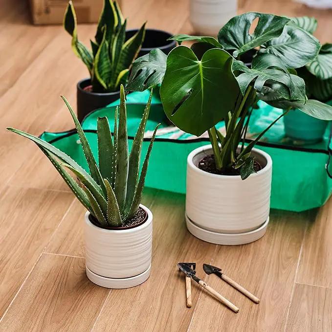 6 + 8 Inch Plant Pots, Ceramic Planter Pot with Drainage Hole & Saucer, Indoor/Outdoor Cylinder Round Planter Pot, Matte White by GreenHaven Gardens