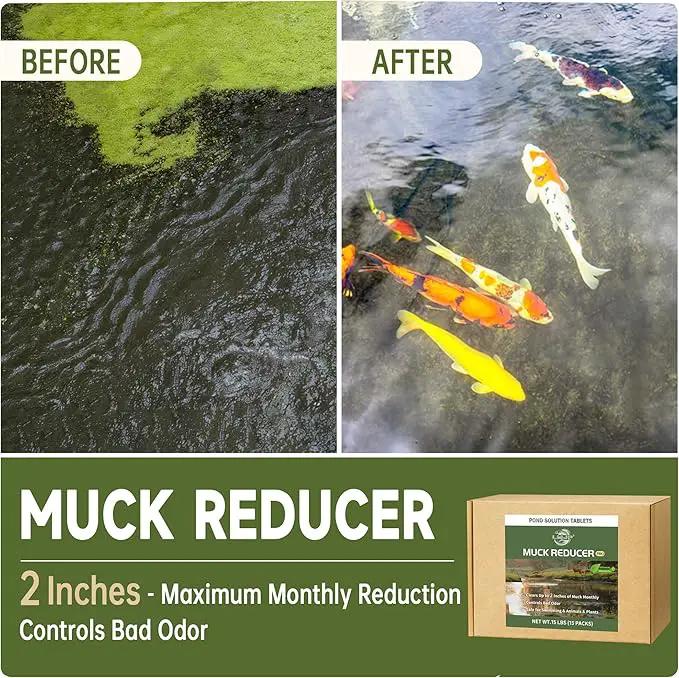 Muck Reducer - 15LB Natural Sludge Solution Tablets for Ponds & Lakes, Away Muck & Odor Control, Safe for Aquatic Life, Wildlife & Recreation, Treats Up to 90,000 Sq Ft by GreenHaven Gardens