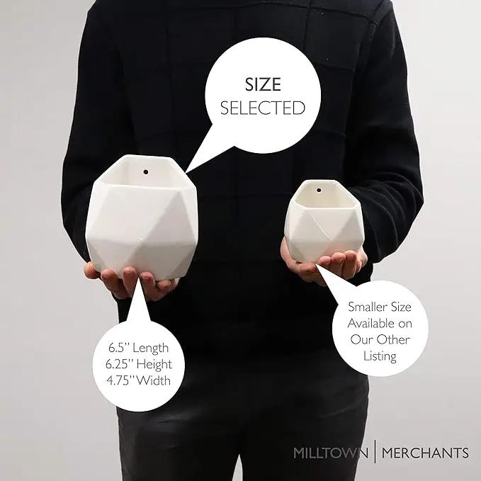 Milltown Merchants Succulent Wall Planters - White Ceramic Mounted Planters - Succulent Pots - Hanging Vases for Living Wall (1 Pack/Geometric/White) by GreenHaven Gardens