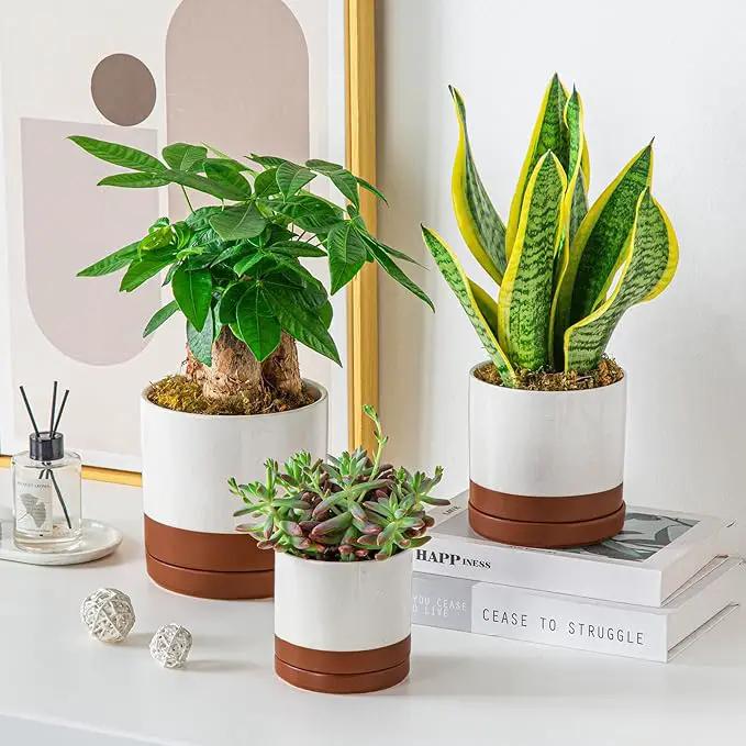 vancasso Ceramic Plant Pots, 3 Piece Planters for Indoor Plants, 4.25+5.25+6.25 Inch Flower Pots with Drainage, Plant Pots Indoor for Succulent, Pothos, Snake Plant and Money Tree, Etc (Khaki) by GreenHaven Gardens