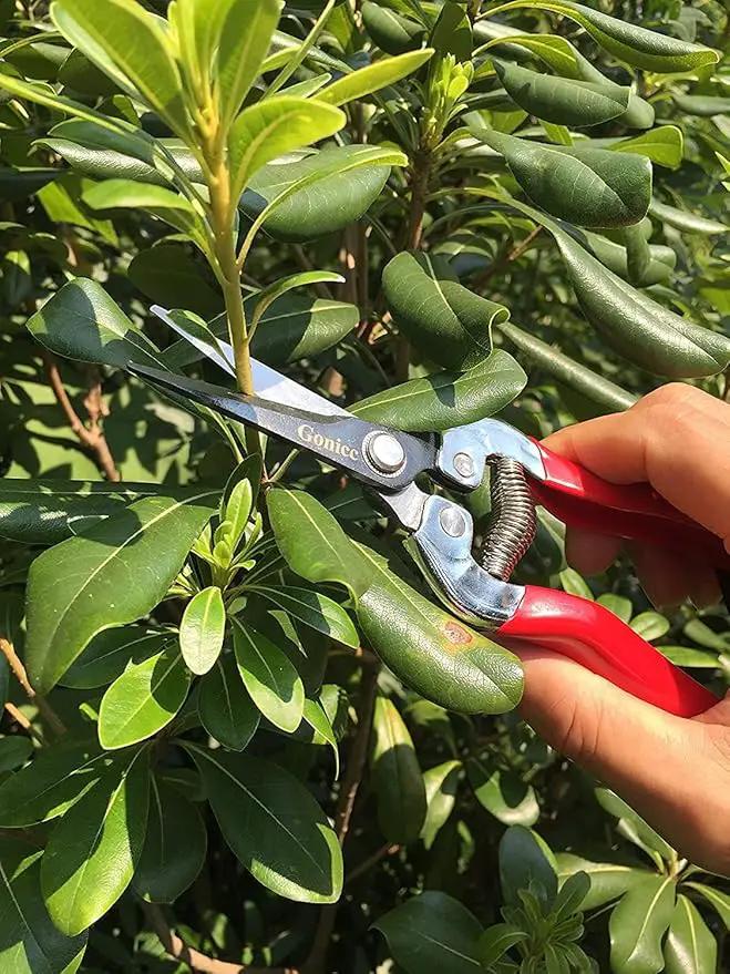 gonicc Professional Micro-Tip Pruning Snip (GPPS-1008), Small Garden Hand Pruner & shears For Arranging Flowers, Trimming Plants & Hydroponic Herbs, And Harvesting Fruits & Vegetables. by GreenHaven Gardens