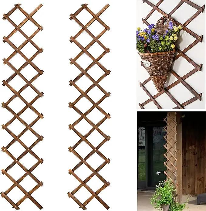 Wooden Lattice Wall 2Pack-Expandable Plant Garden Trellis for Climbing Plants Outdoor Air Plant Vertical Rack Wall Decor for Room Patio by GreenHaven Gardens