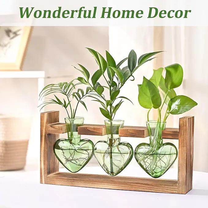Lifecapido Heart Shaped Propagation Stations, Plant Terrarium with Wooden Stand, Plant Propagation Station for Hydroponics Office Garden Home Decor, Gifts for Women Plant Lover (3 Vases, Mint Green) by GreenHaven Gardens