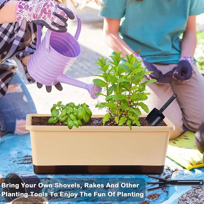 Window Box Planter 8 Pcs, 17 Inches Rectangle Flower Pots with Drainage Holes and Trays, Vegetable Planters for Windowsill Patio Garden Balcony Home Porch Yard Indoor Outdoor (Barley Yellow) by GreenHaven Gardens