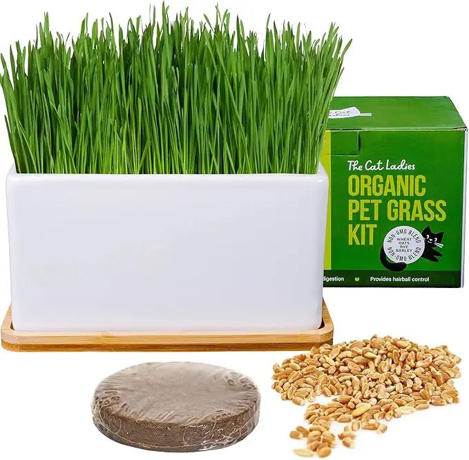 The Cat Ladies Organic Cat Grass Growing kit with Organic Seed Mix, Soil and Ceramic Planter with Bamboo Tray. Natural Hairball Control and Remedy for Cats by GreenHaven Gardens