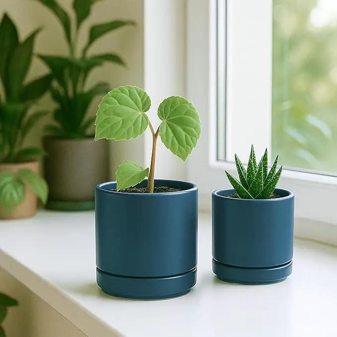 D'vine Dev 3.5 Inch & 4.7 Inch Ceramic Planter Pots for Plants with Drainage Hole and Saucer, X-Small Plant Pots Set, Teal, 94-G-XS-9 by GreenHaven Gardens