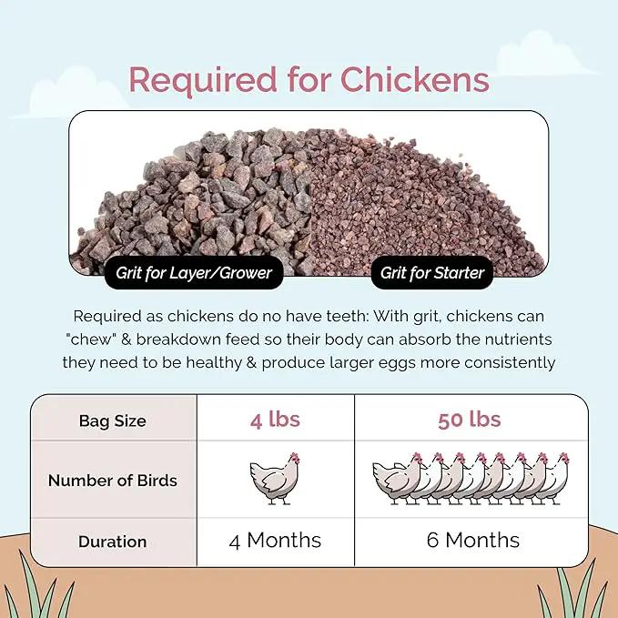 Chicken Grit for Layer & Grower Chickens Age 8-20+ Weeks - 100% Natural Mineral Chicken Grit Quartzite, Poultry Grit, USA Mined, 50 lbs by GreenHaven Gardens