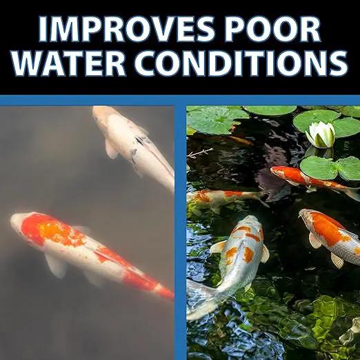 CrystalClear Barley Extract Water Garden & Fountain Clarifier, Natural Liquid Concentrate to Treat Cloudy Ponds, Koi Fish, Plant & Pet Safe, 1 Gallon by GreenHaven Gardens