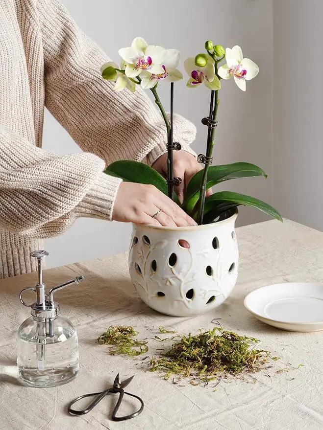 LE TAUCI Ceramic Orchid Pot, 6.5 Inch Orchid Pots with Holes, Orchid Planter for Repotting, Indoor Flower Plant Pot with Drainage and Saucer, Arctic White by GreenHaven Gardens