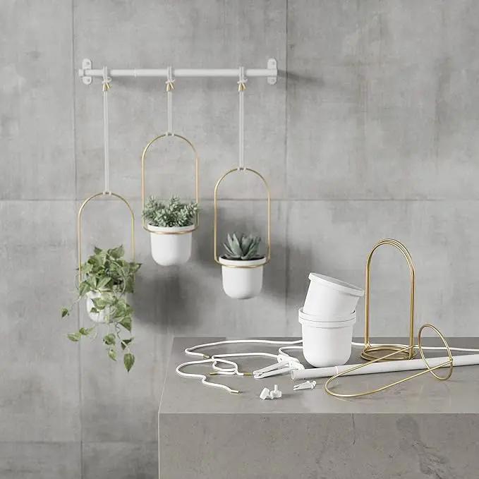 Umbra Triflora Hanging Planter for Window, Indoor Herb Garden, Set of 3, White/Brass by GreenHaven Gardens