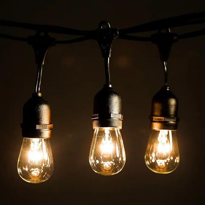 Hometown Evolution, Inc. 50 Foot E26 Commercial Outdoor String Lights with 25 Suspended Sockets and S14 Clear Bulbs for Weatherproof Heavy Duty Vintage Outside Lighting by GreenHaven Gardens