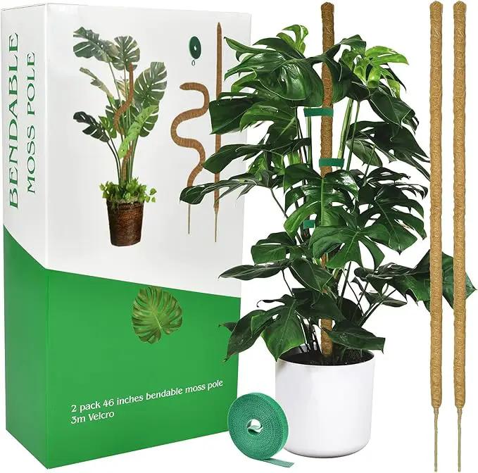 2 Pack Moss pole - 46 Inch Moss Pole Indoor - Monstera Plant Support - Plant Stakes for Indoor Plants - Plant Stiks support Tall - Moss Pole for Climbing Plants support - Monstera Pot - Moss Poles by GreenHaven Gardens