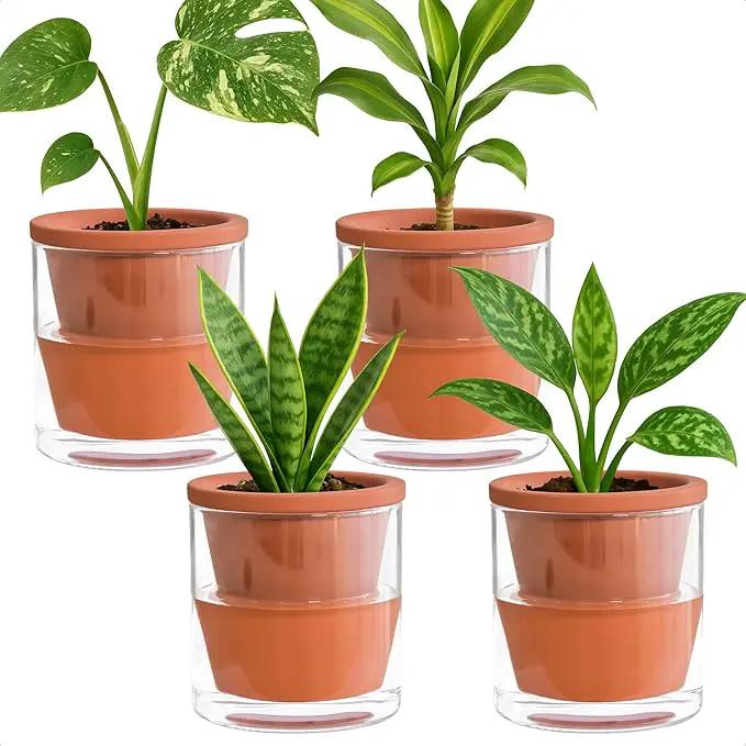 D'vine Dev 4 Inch Design Self Watering Pot for Indoor Plants, Terracotta Planter with Cylinder Glass Cup, Set of 4, 37-Z-A-1-F by GreenHaven Gardens