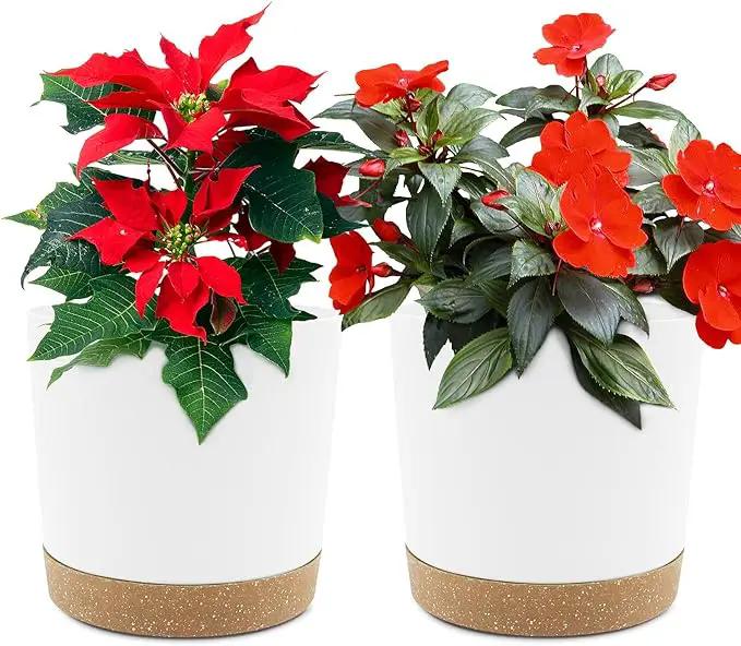 QCQHDU 6.5 inch Plant Pot, 2 Pack Planters for Indoor Plants with Drainage Holes & Saucer, Outdoor Flower Pots Home Garden Modern Decor by GreenHaven Gardens