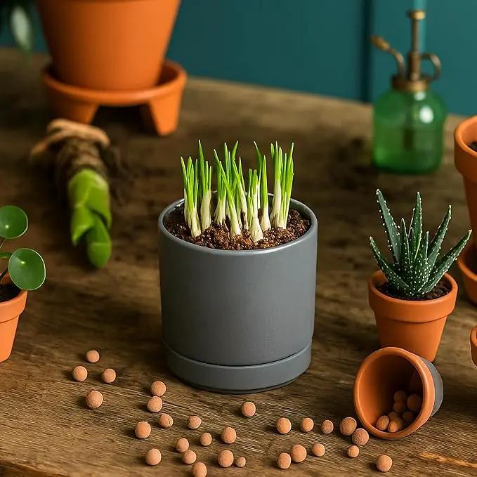 D'vine Dev 3.5 Inch Ceramic Planter Pot with Drainage Hole and Saucer, Indoor Cylinder Round Planter Pot, Speckled Grey, 94-O-A-3 by GreenHaven Gardens