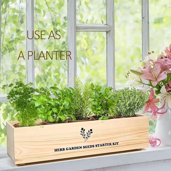 5 Herb Seeds Garden Starter Kit with Complete Planting Kit & Wooden Flower Box, Growing into Basil, Parsley, Rosemary, Thyme, Mint for Kitchen Windowsill Herb Garden DIY by GreenHaven Gardens